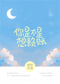 你是不是想赖账封面