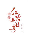 七零红火小日子封面