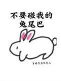 不要碰我的兔尾巴封面