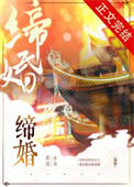 缔婚封面