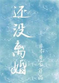 还没离婚封面