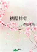 糖醋排骨封面
