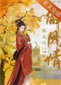 解风情封面