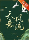 天意风流封面