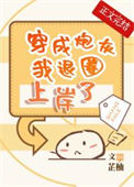 穿成炮灰我退圈上岸了封面
