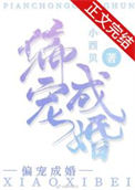 偏宠成婚封面