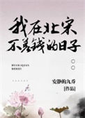 我在北宋不差钱的日子封面