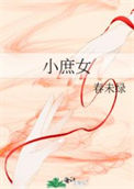 小庶女封面