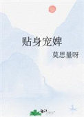 贴身宠婢封面