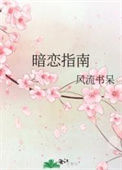 暗恋指南封面