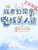 我老公是条黑心美人鲨封面
