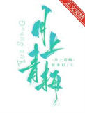 月上青梅封面
