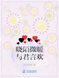 晓陌微暖与君言欢封面