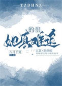 她真的很难追封面