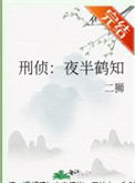 刑侦：夜半鹤知封面