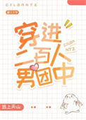 穿进二百人男团中封面