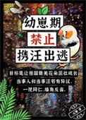 幼崽期禁止携汪出逃封面