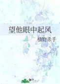 望他眼中起风封面