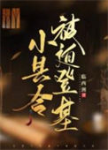 小县令被迫登基（基建）封面