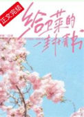 给卫莱的一封情书封面