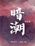 暗潮封面