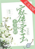 不幸摔碎家传宝玉之后封面