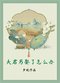 夫君另娶了怎么办封面