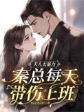 夫人太暴力，秦总每天带伤上班封面