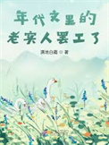 年代文里的老实人罢工了封面