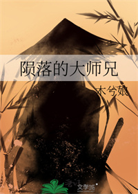 陨落的大师兄封面
