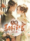 大雍翻译官封面