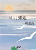 明月如她封面