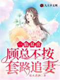 一胎双喜：顾总不按套路追妻封面