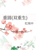 重圆(双重生)封面