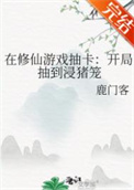 在修仙游戏抽卡：开局抽到浸猪笼封面