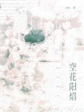 空花阳焰封面