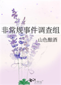 非常规事件调查组封面