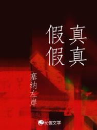 真真假假封面