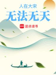 人在大宋，无法无天封面
