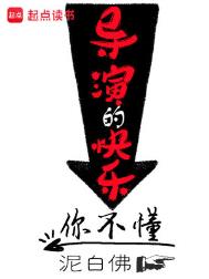 导演的快乐你不懂封面