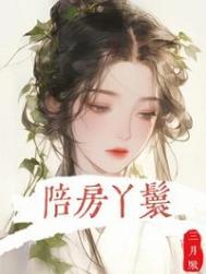 陪房丫鬟封面