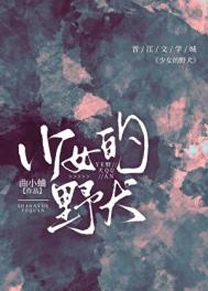 少女的野犬封面