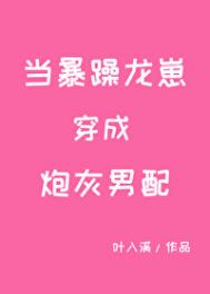 当暴躁龙崽穿成炮灰男配封面