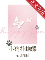 小狗扑蝴蝶封面