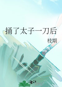 捅了太子一刀后封面
