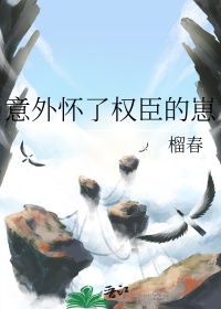 意外怀了权臣的崽封面