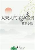 太夫人的荣华富贵封面
