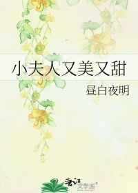 小夫人又美又甜封面