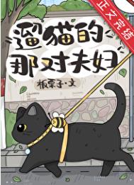 遛猫的那对夫妇封面