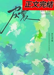 皮囊封面